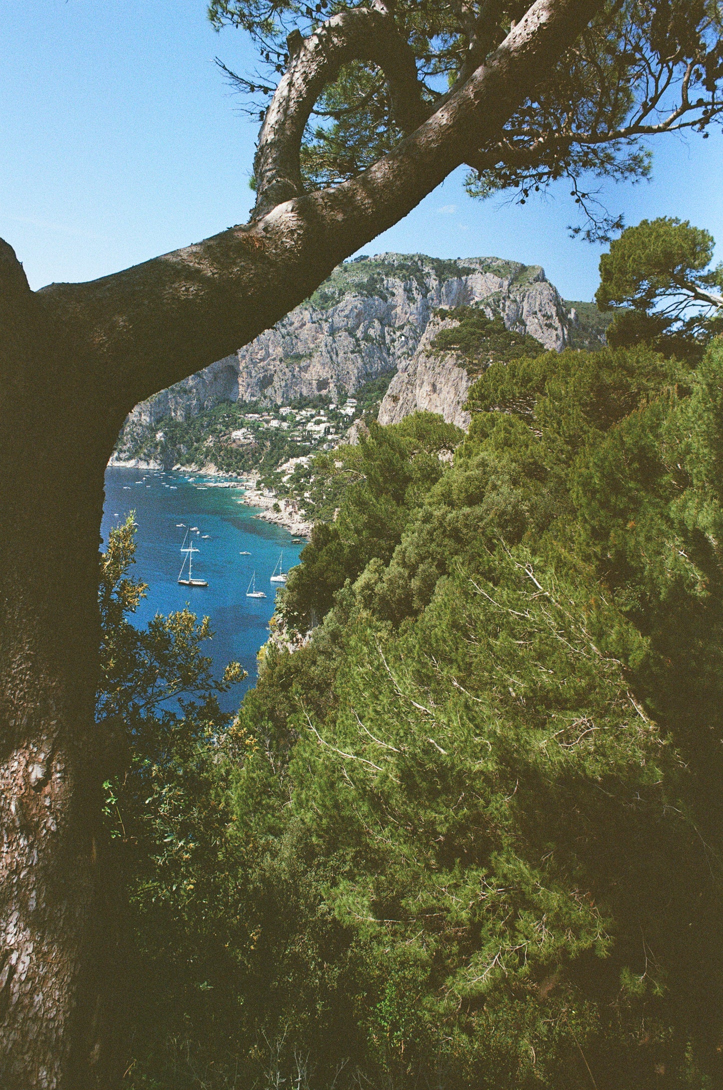 Capri - 50x75 cm