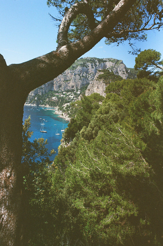 Capri - 50x75 cm